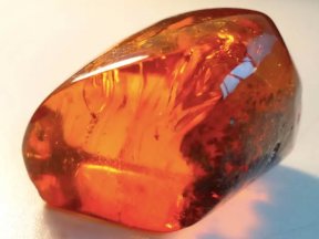 Фото | Скупка янтаря