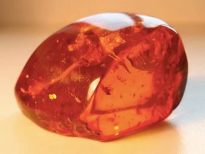 Фото | Скупка янтаря